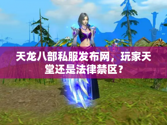 天龙八部私服发布网，玩家天堂还是法律禁区？