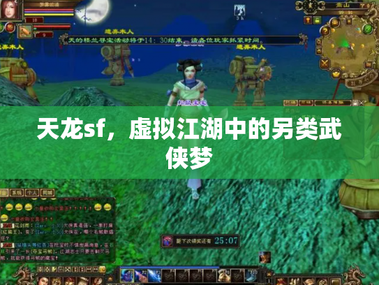 天龙sf，虚拟江湖中的另类武侠梦