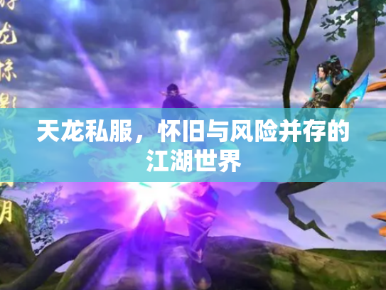 天龙私服，怀旧与风险并存的江湖世界