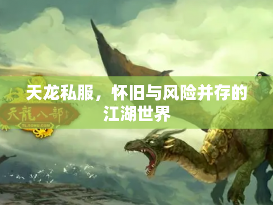天龙私服，怀旧与风险并存的江湖世界