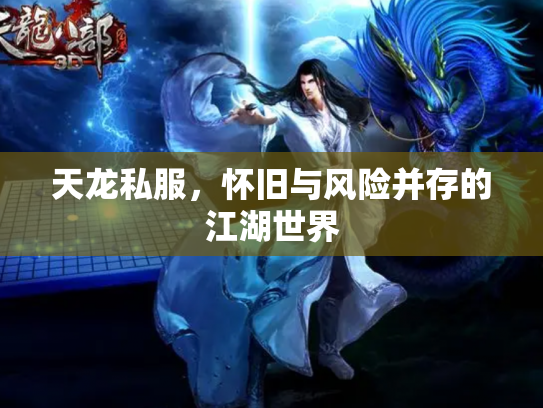 天龙私服，怀旧与风险并存的江湖世界
