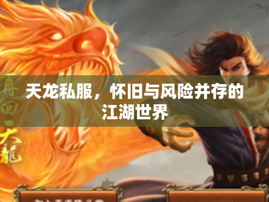 天龙私服，怀旧与风险并存的江湖世界