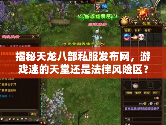 揭秘天龙八部私服发布网，游戏迷的天堂还是法律风险区？