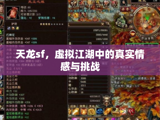 天龙sf，虚拟江湖中的真实情感与挑战