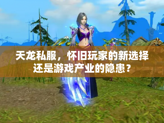天龙私服，怀旧玩家的新选择还是游戏产业的隐患？