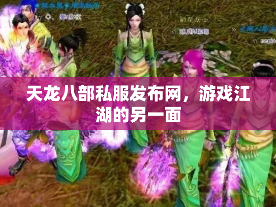 天龙八部私服发布网，游戏江湖的另一面
