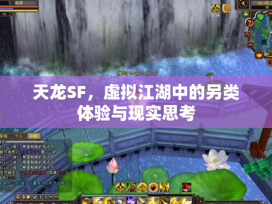 天龙SF，虚拟江湖中的另类体验与现实思考
