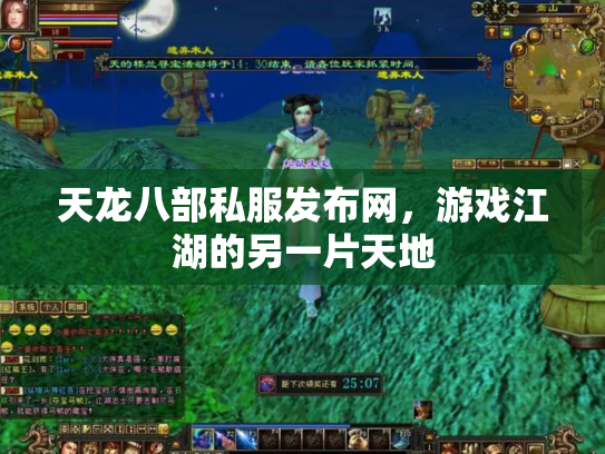 天龙八部私服发布网，游戏江湖的另一片天地