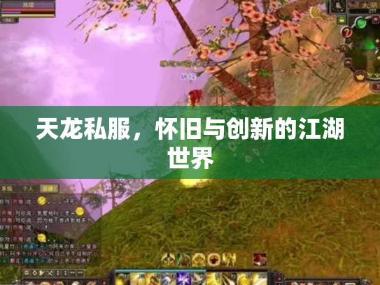天龙私服，怀旧与创新的江湖世界