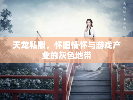 天龙私服，怀旧情怀与游戏产业的灰色地带