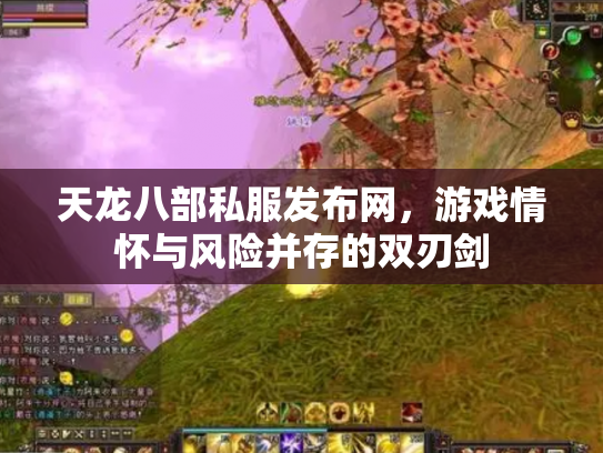 天龙八部私服发布网，游戏情怀与风险并存的双刃剑