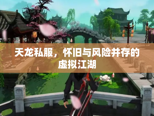 天龙私服，怀旧与风险并存的虚拟江湖