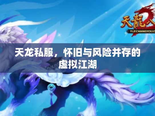 天龙私服，怀旧与风险并存的虚拟江湖