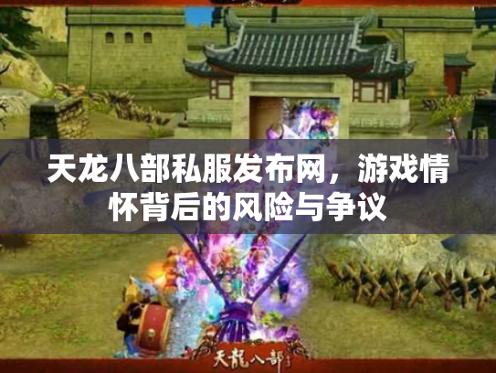 天龙八部私服发布网，游戏情怀背后的风险与争议