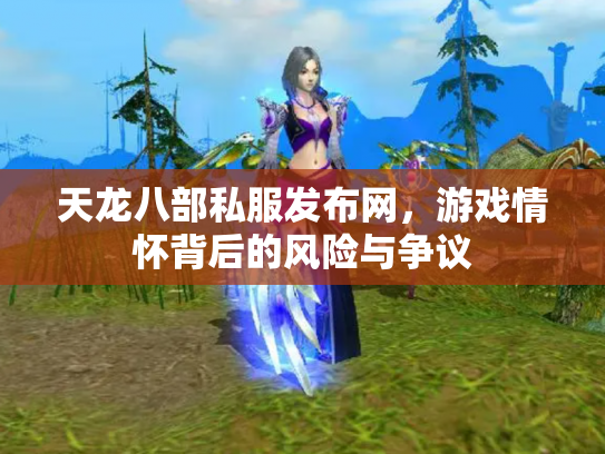 天龙八部私服发布网，游戏情怀背后的风险与争议