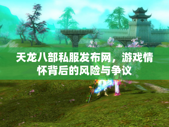 天龙八部私服发布网，游戏情怀背后的风险与争议