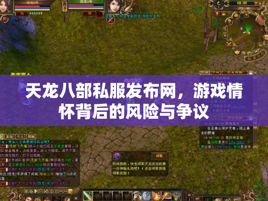天龙八部私服发布网，游戏情怀背后的风险与争议