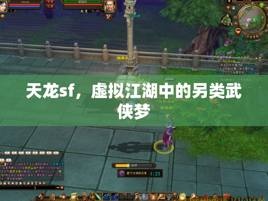 天龙sf，虚拟江湖中的另类武侠梦