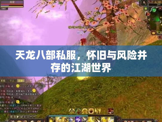 天龙八部私服，怀旧与风险并存的江湖世界