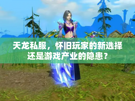天龙私服，怀旧玩家的新选择还是游戏产业的隐患？