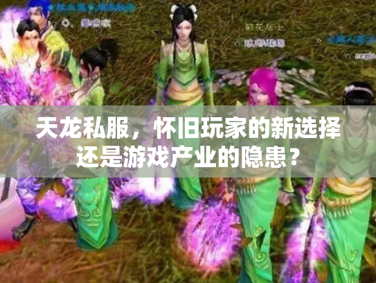 天龙私服，怀旧玩家的新选择还是游戏产业的隐患？