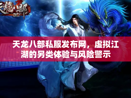 天龙八部私服发布网，虚拟江湖的另类体验与风险警示