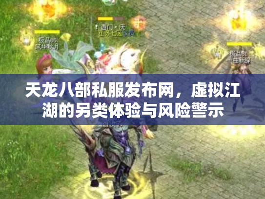 天龙八部私服发布网，虚拟江湖的另类体验与风险警示