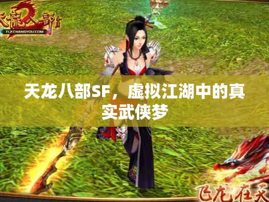 天龙八部SF，虚拟江湖中的真实武侠梦