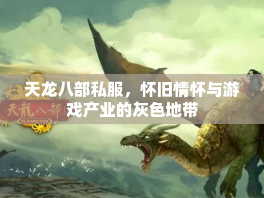 天龙八部私服，怀旧情怀与游戏产业的灰色地带