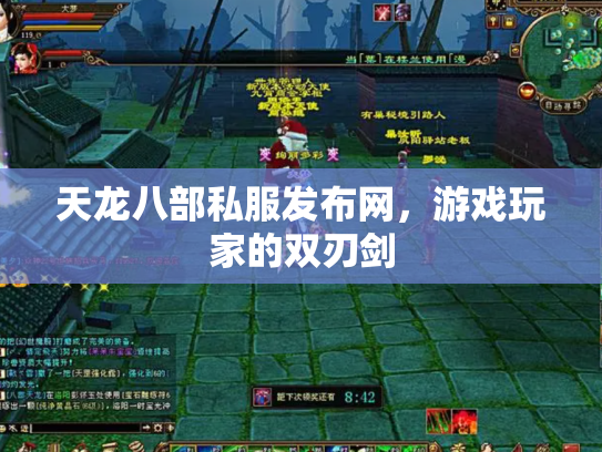天龙八部私服发布网，游戏玩家的双刃剑