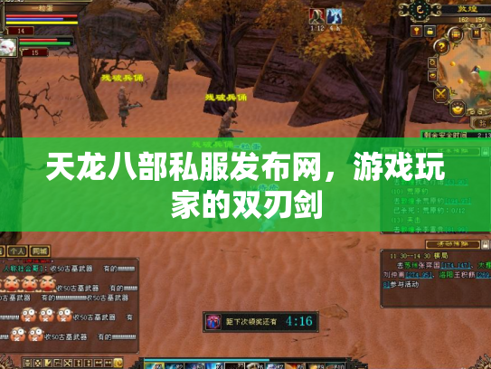 天龙八部私服发布网，游戏玩家的双刃剑