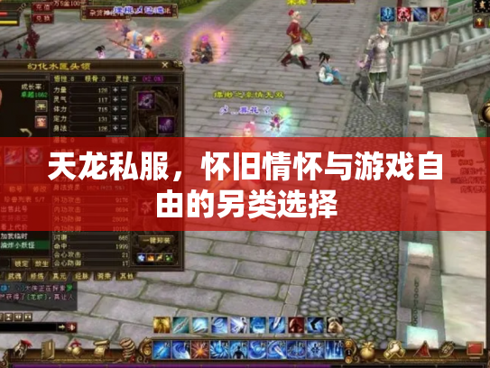 天龙私服，怀旧情怀与游戏自由的另类选择