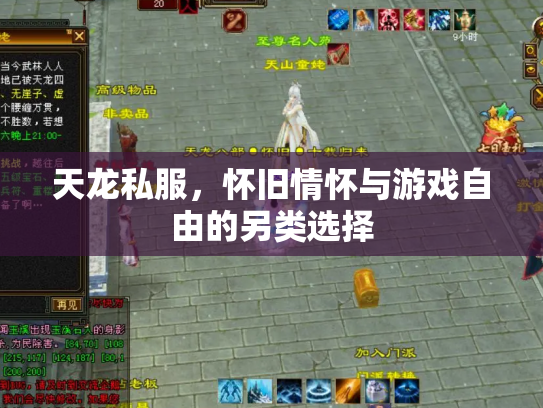 天龙私服，怀旧情怀与游戏自由的另类选择