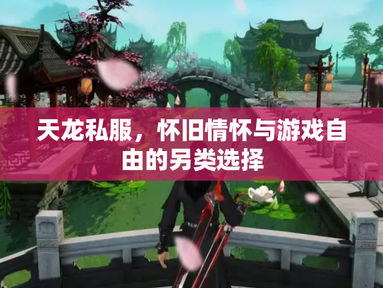 天龙私服，怀旧情怀与游戏自由的另类选择