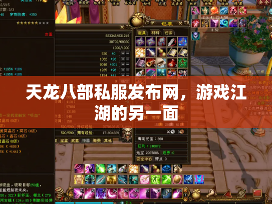 天龙八部私服发布网，游戏江湖的另一面