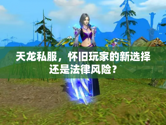 天龙私服，怀旧玩家的新选择还是法律风险？
