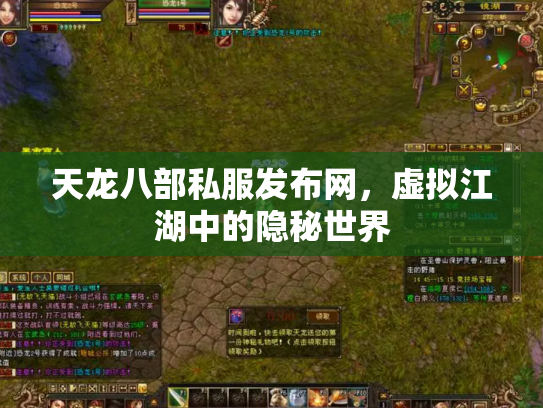 天龙八部私服发布网，虚拟江湖中的隐秘世界