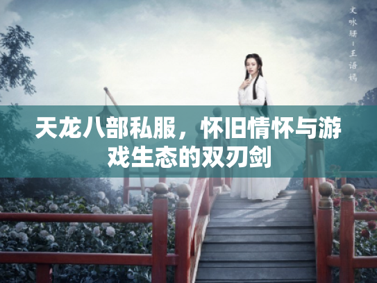 天龙八部私服，怀旧情怀与游戏生态的双刃剑