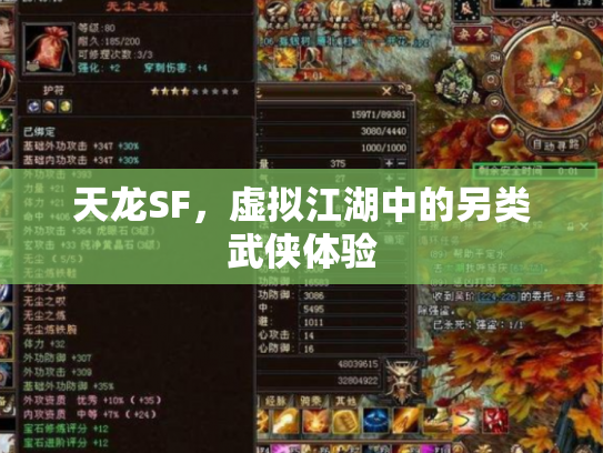 天龙SF，虚拟江湖中的另类武侠体验