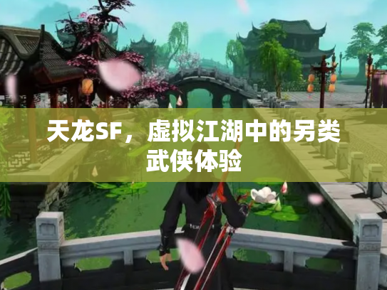 天龙SF，虚拟江湖中的另类武侠体验