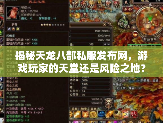 揭秘天龙八部私服发布网，游戏玩家的天堂还是风险之地？