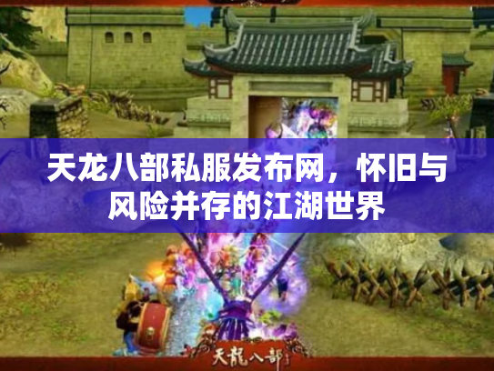 天龙八部私服发布网，怀旧与风险并存的江湖世界