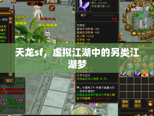 天龙sf，虚拟江湖中的另类江湖梦