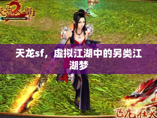 天龙sf，虚拟江湖中的另类江湖梦