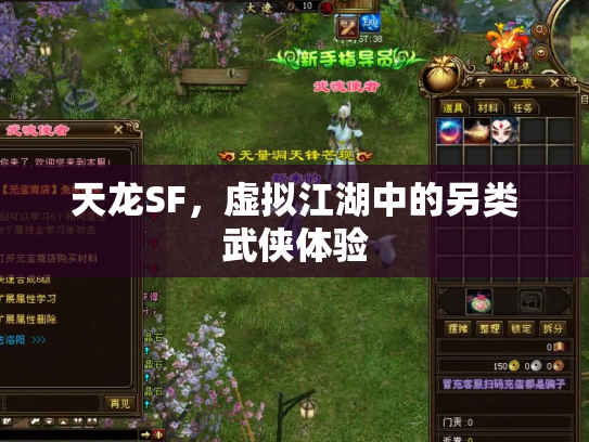 天龙SF，虚拟江湖中的另类武侠体验