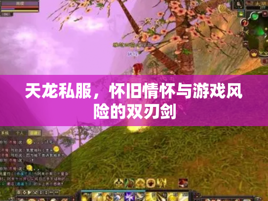 天龙私服，怀旧情怀与游戏风险的双刃剑