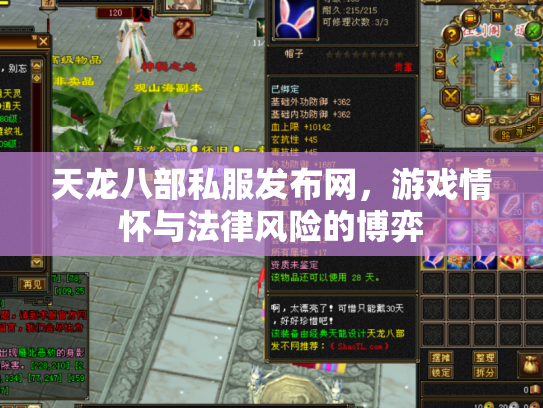 天龙八部私服发布网，游戏情怀与法律风险的博弈