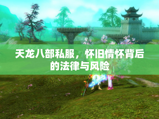天龙八部私服，怀旧情怀背后的法律与风险