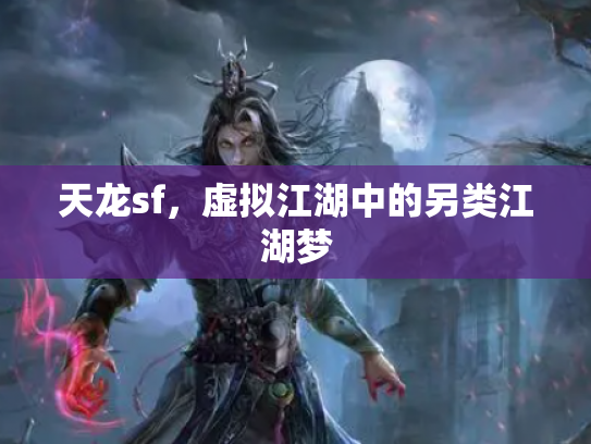 天龙sf，虚拟江湖中的另类江湖梦
