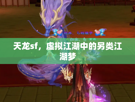 天龙sf，虚拟江湖中的另类江湖梦